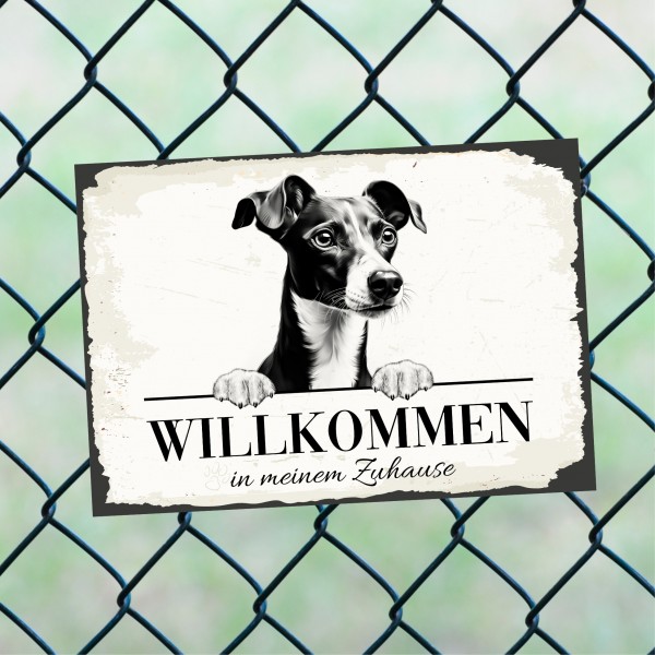 Hundeschild Willkommen Zuhause Italienisches Windspiel Schild