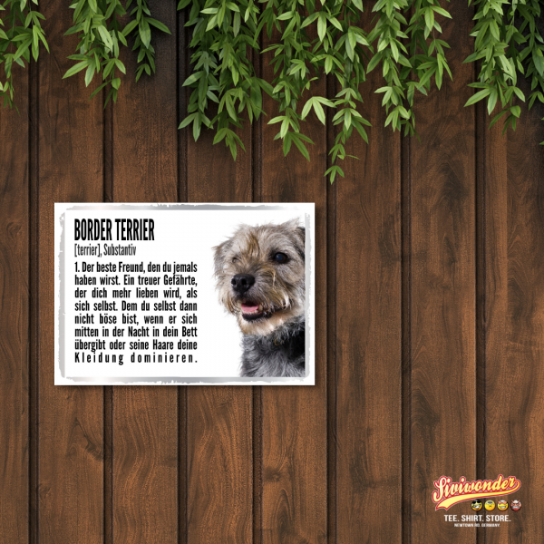 Duden_BorderTerrier2