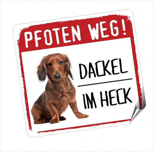 A_DACKEL_PFOTEN_WEG