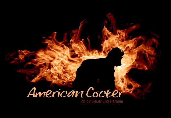 UTFlamme_AmiCockerMo