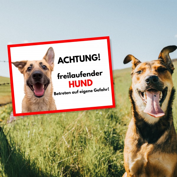 SchildFrei_Hund2