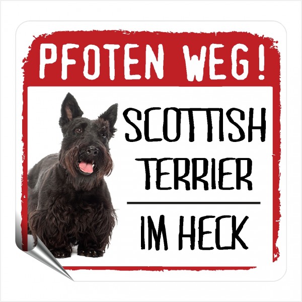 Scottish Terrier Scottie Aberdeen Terrier Scotch