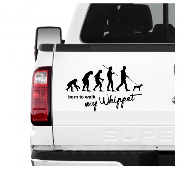 Whippet Windhund Snap dog Evolution Born to Walk Hunde Aufkleber Sticker Autoaufkleber Wandtattoo Tattoo