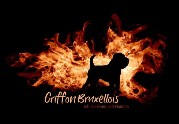 UTFlamme_GriffBruxelMo