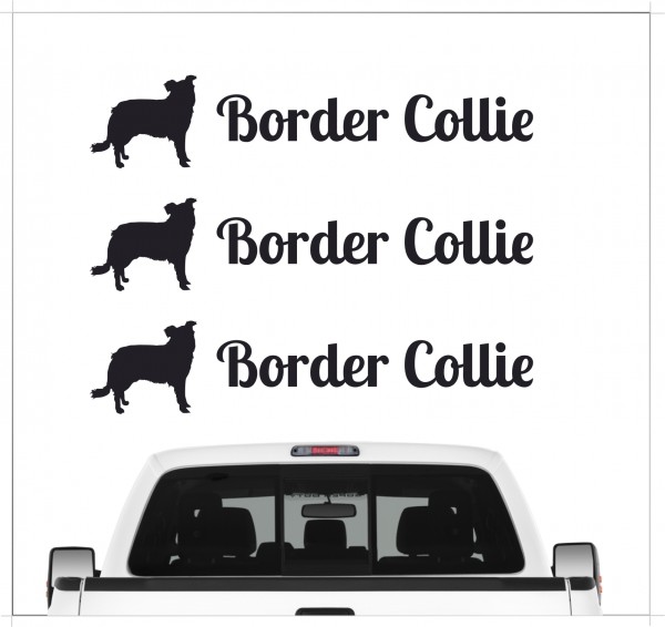 A_3er_BorderCollieB