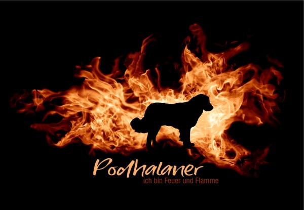 UTFlamme_PodhalanerMo