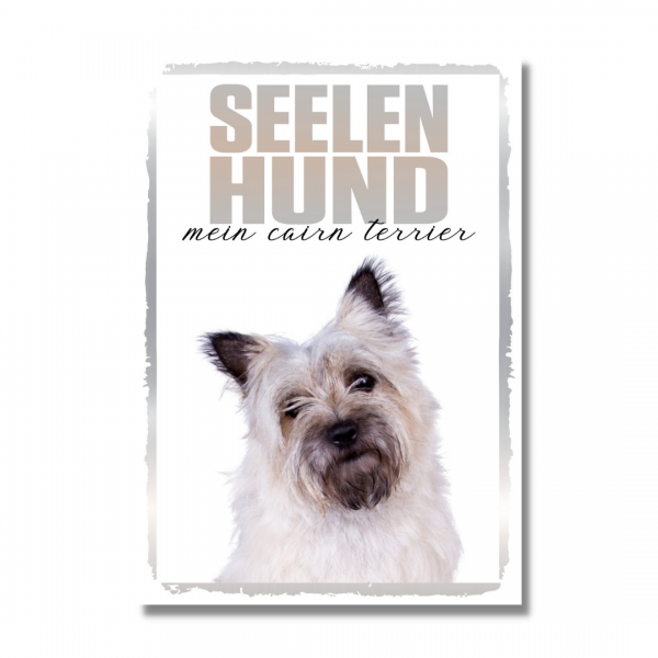SeeleR_CairnTerrier1
