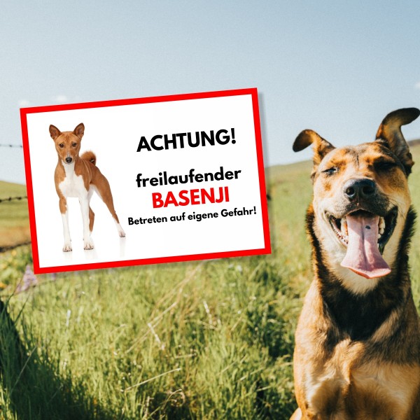SchildFrei_Basenji1