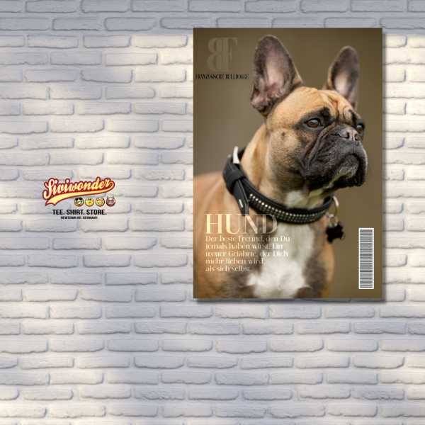 SchildMagazin_Frenchie3