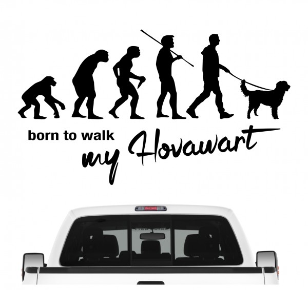 Hovawart Hovi Working hovewart Evolution Born to Walk Hunde Aufkleber Sticker Autoaufkleber Wandtattoo Tattoo
