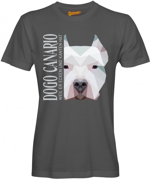 UTPoly_DogoCanarioDG