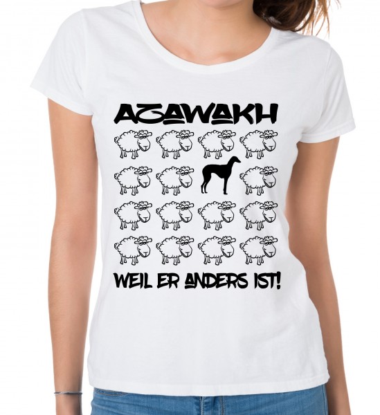 WT_Sheep_AzawakhW