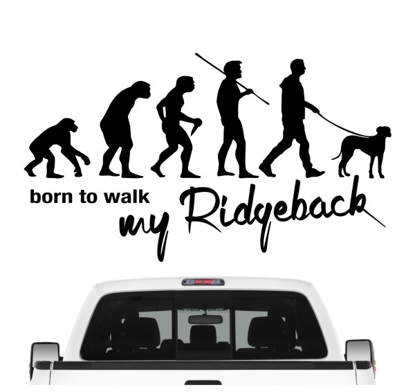 Rhodesian Ridgeback RR Löwenhund Liondog African Lion Boy Girl Evolution Born to Walk Hunde Aufkleber Sticker Autoaufkleber Wandtattoo Tattoo