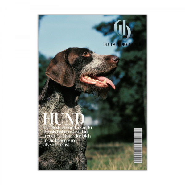 SchildMagazin_DeutschDrahthaar1