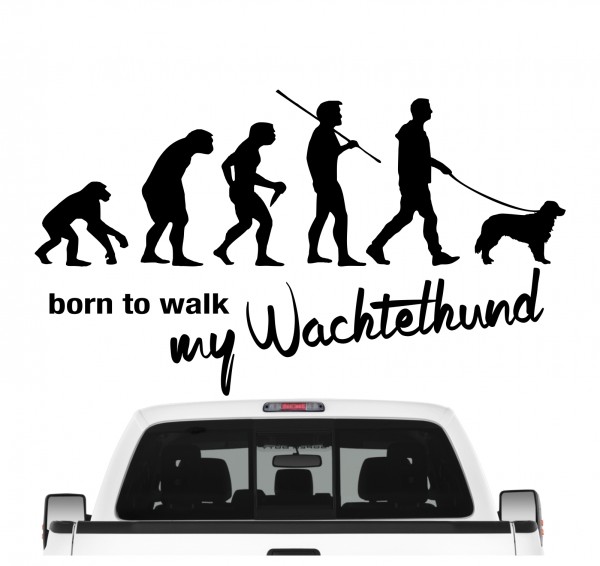 Deutscher Wachtelhund Wachtel Heidewachtel Evolution Born to Walk Hunde Aufkleber Sticker Autoaufkleber Wandtattoo Tattoo