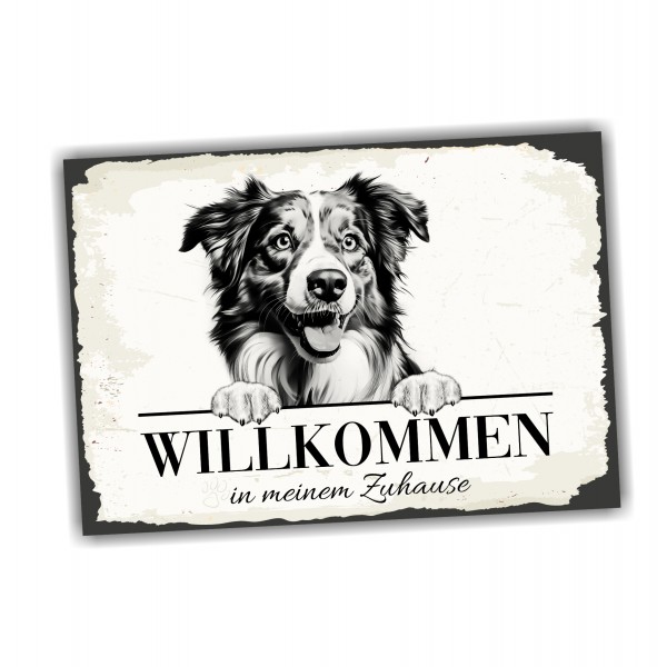 Hundeschild Willkommen Zuhause Mini Australian Shepherd Schild Achtung Spruch