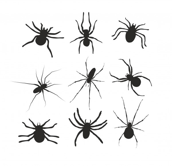 Aufkleber_Spinnen_3