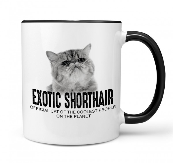 Exotic Shorthair USA Katze Official Cat cool Tasse Kaffee lustig Kaffeebecher Design