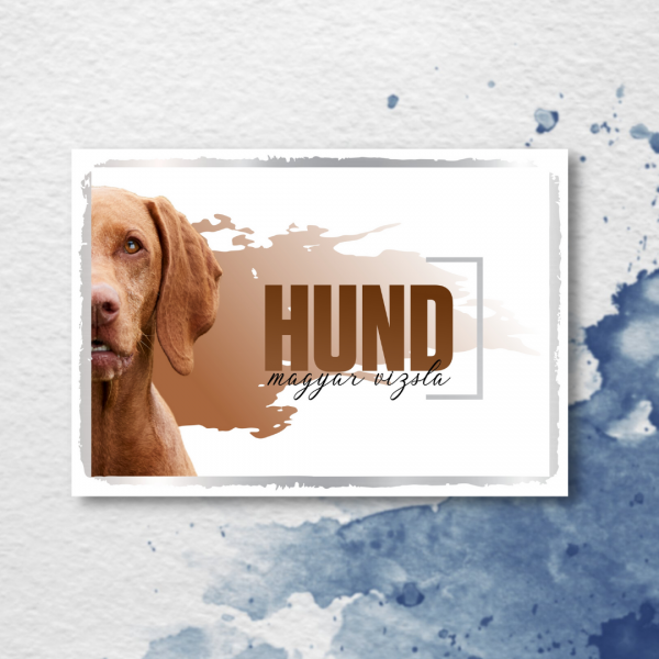 SeeleD_MagyarVizsla3