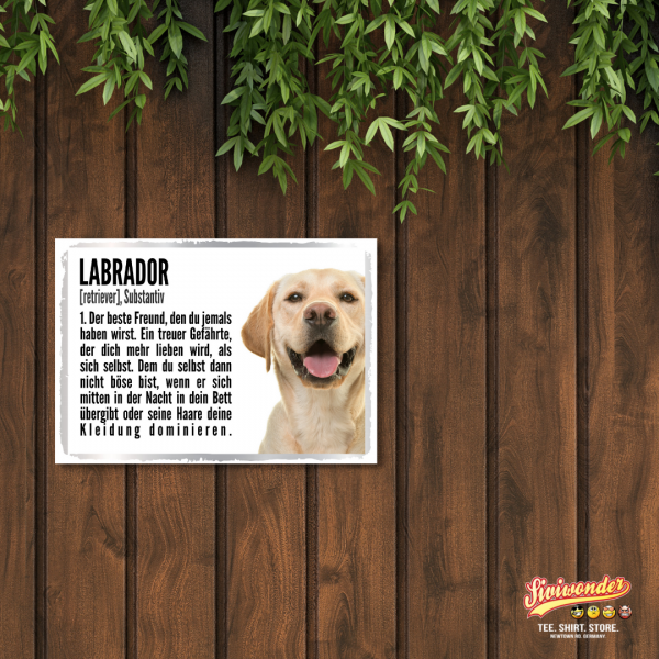 Duden_Labrador2