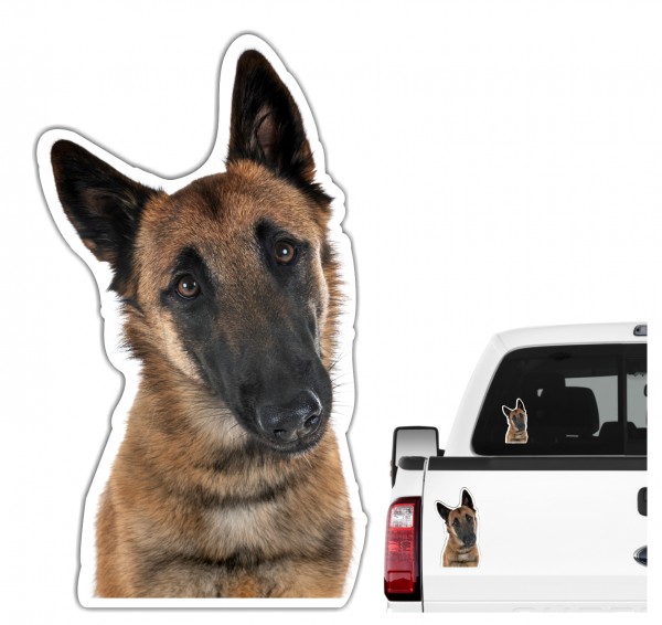 Malinois Belgian Mali Belgischer Schäferhund Berger Belge Dog Pfoten Digitaldruck Motiv by SIVIWONDER