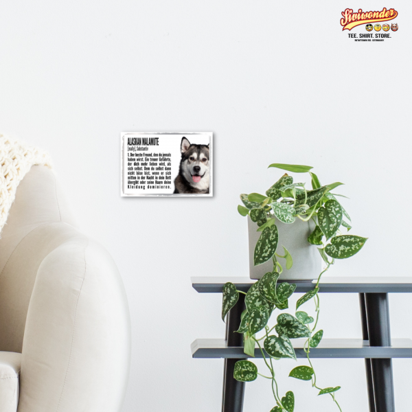 Duden_AlaskMalamute3