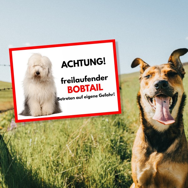 SchildFrei_Bobtail1