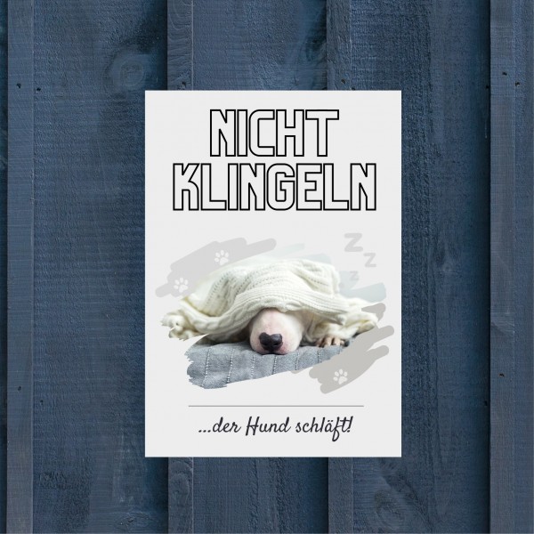 Bullterrier Bully Bull Terrier Gladiator Hund nicht klingeln schlafen Schild Dog Hund Spruch Türschild Hundeschild Wall Art Gefährte