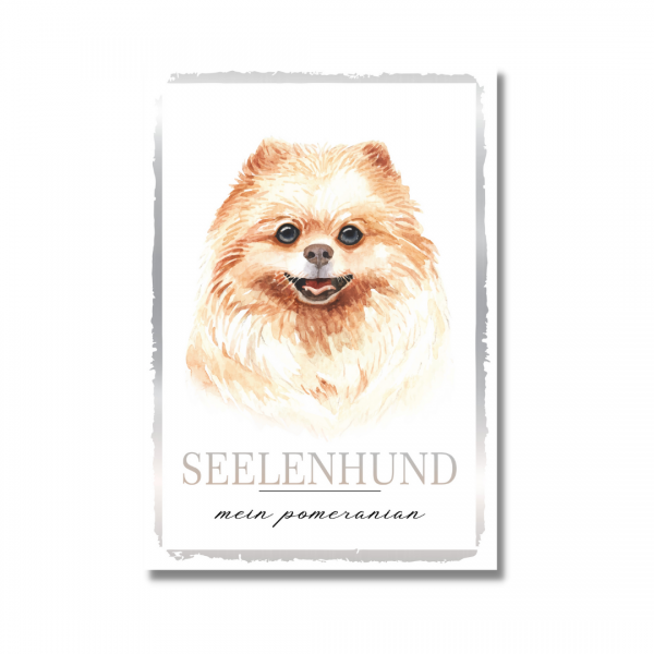SeeleW_Pomeranian1