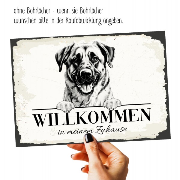 Hundeschild Willkommen Zuhause Anatolischer Hirtenhund Schild Achtung