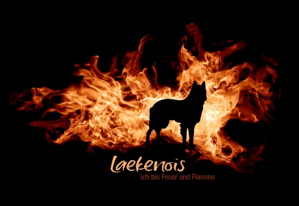 UTFlamme_LaekenoisMo