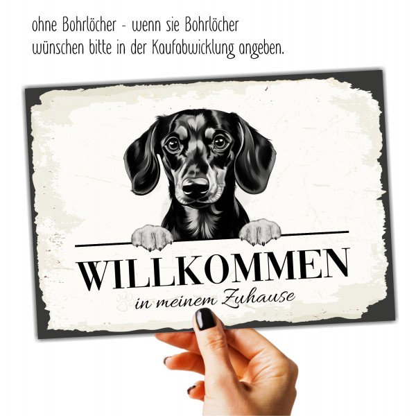 SchildWillk_Dackel5a