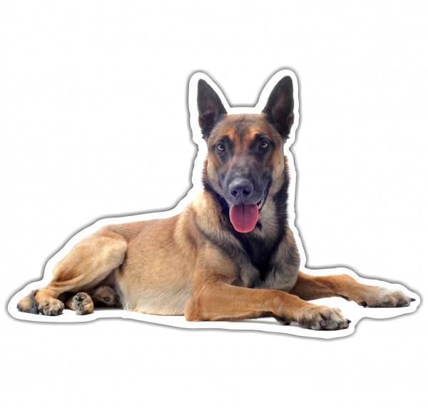 Malinois Belgian Mali Belgischer Schäferhund Berger Belge Dog Pfoten Digitaldruck Motiv by SIVIWONDER