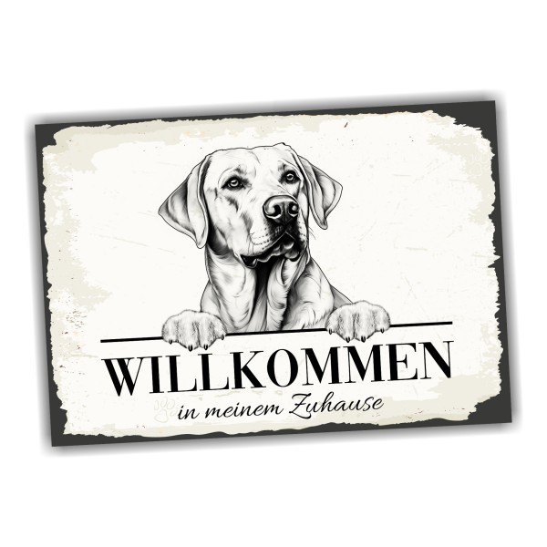 Hundeschild Willkommen Zuhause Labrador Labby Schild Achtung Spruch