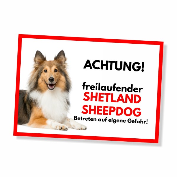 SchildFrei_Sheltie