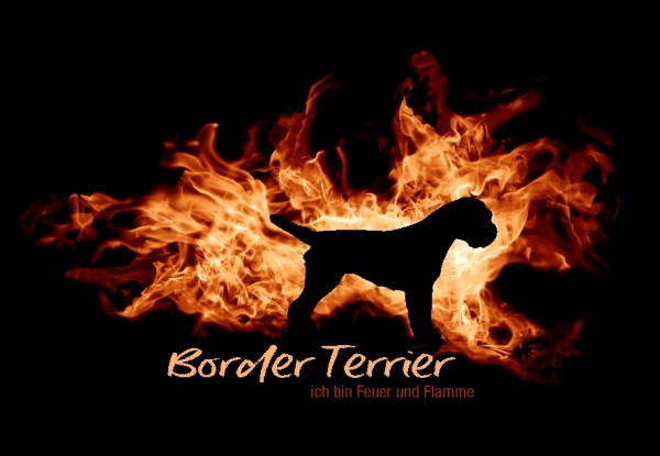 UTFlamme_BorderTerrierMo5c810556cf0f4