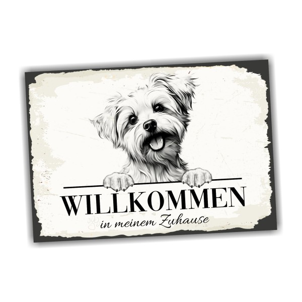 Hundeschild Willkommen Zuhause Malteser Maltese Schild Achtung Spruch