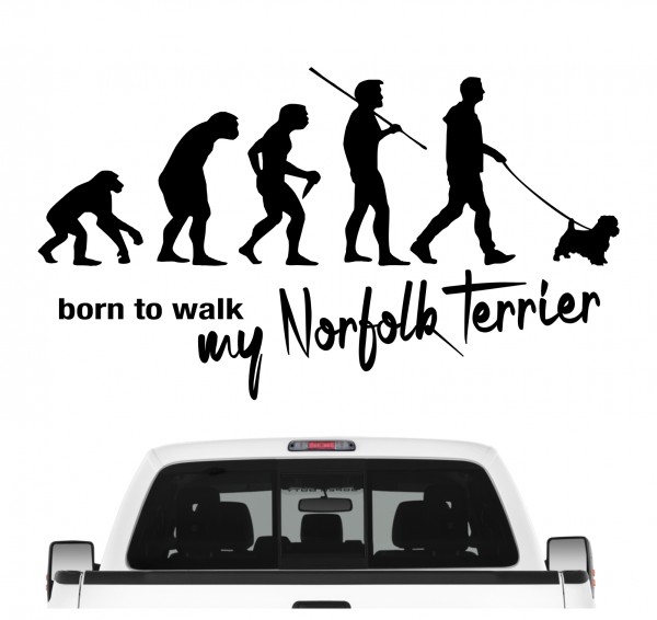 Norfolk Terrier Norfork Evolution Born to Walk Hunde Aufkleber Sticker Autoaufkleber Wandtattoo Tattoo