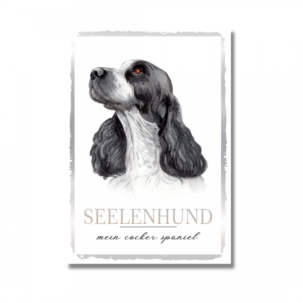 SeeleW_CockerSpaniel1