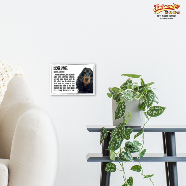 Duden_CockerSpaniel3