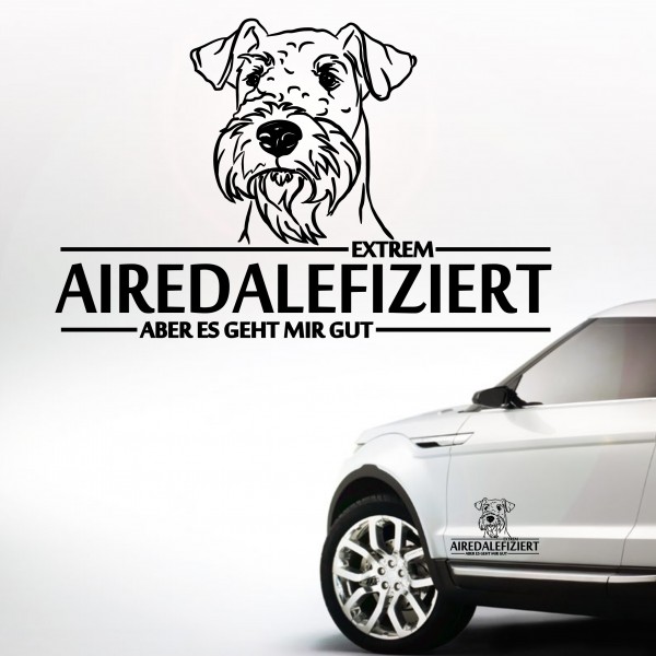 A_Infi_AiredaleTerrierIndex