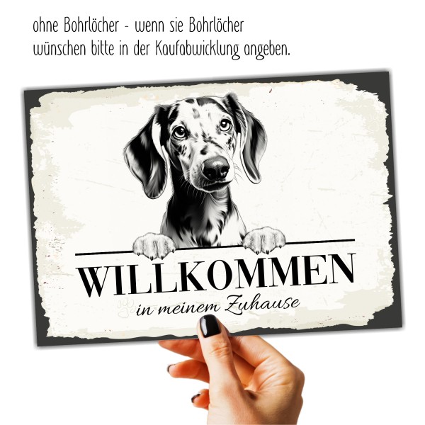 SchildWillk_Dackel7a