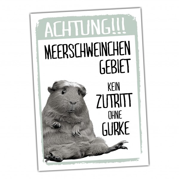 Meerschwein Gebiet - kein Zutritt ohne Gurke Sprüche Türschild Warnschild Spruch Schild happy Design by Siviwonder