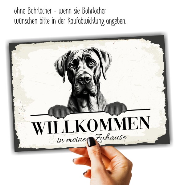 Hundeschild Willkommen Zuhause Dogge deutscheSchild Achtung Spruch