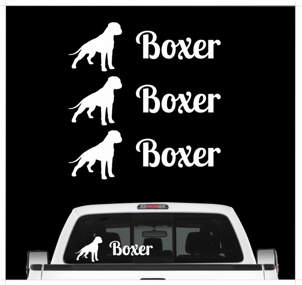 A_3er_BoxerW
