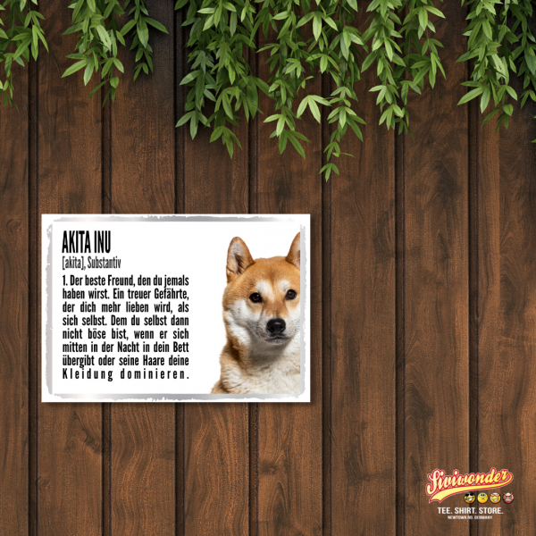 Duden_AkitaInu2