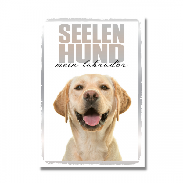 SeeleR_Labrador1