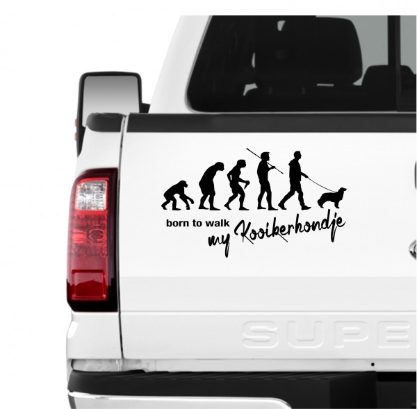 Kooikerhondje Kooiker Hound Kojenhundchen Nederlandse Dutch Decoy Evolution Born to Walk Hunde Aufkleber Sticker Autoaufkleber Wandtattoo Tattoo