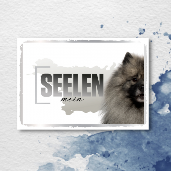 SeeleD_Wolfspitz2