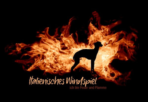 UTFlamme_ItalWindspMo